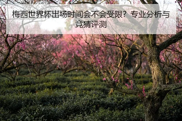 梅西世界杯出场时间会不会受限？专业分析与竞猜评测